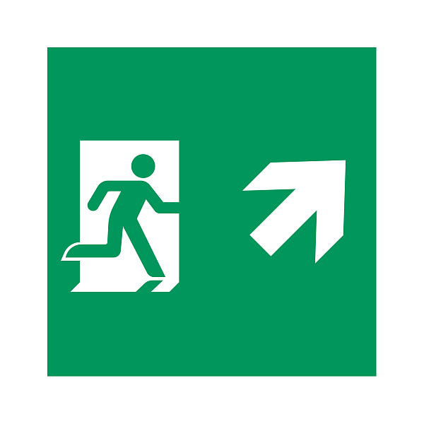 Пиктограмма EMGP-MARK-MA-RUP (Человек, Вверх-Вправо) (Arlight, Пластик) Lednikoff