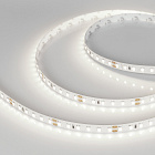 Светодиодная лента RT-A120-8mm 24V Day5000 (14.4 W/m, IP20, 2835, 5m) (Arlight, Открытый) Lednikoff