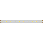 Светодиодная лента IC 2-30000 24V Day5000 10mm (2835, 60 LED/m, LUX) (Arlight, 4.6 Вт/м, IP20) Lednikoff