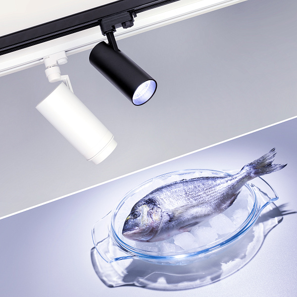 Светильник LGD-GERA-4TR-R74-20W Cool SP7500-Fish (BK, 24 deg, 230V) (Arlight, IP20 Металл, 3 года) Lednikoff