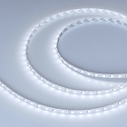 Светодиодная лента RZ-A80-8mm 24V White6000 (8 W/m, IP20, 2835, 5m) (Arlight, -) Lednikoff