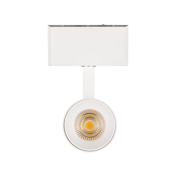 Светильник MAG-SPOT-45-R85-12W Day4000 (WH, 36 deg, 24V, DALI) (Arlight, IP20 Металл, 5 лет)