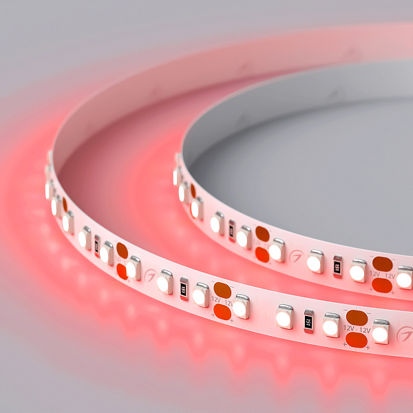 Светодиодная лента RT 2-5000 12V Red 2x (3528, 600 LED, LUX) (Arlight, 9.6 Вт/м, IP20) Lednikoff