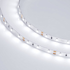 Светодиодная лента RT 2-5000 12V White6000 (3528, 300 LED, LUX) (Arlight, 4.8 Вт/м, IP20) Lednikoff