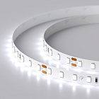 Светодиодная лента RT 2-5000 24V Cool 8K 1.6x (2835, 490 LED, PRO) (Arlight, 10 Вт/м, IP20) Lednikoff
