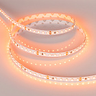 Светодиодная лента RT 2-5000 24V Orange 2x (3528, 600 LED, LUX) (Arlight, 9.6 Вт/м, IP20) Lednikoff