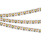 Светодиодная лента RT 2-5000 12V Cx1 Warm3000 2x (5060, 360 LED, CRI98) (Arlight, 16.8 Вт/м, IP20) Lednikoff