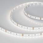 Светодиодная лента MICROLED-5000L 24V Day5000 8mm (2216, 120 LED/m, LUX) (Arlight, 6.5 Вт/м, IP20) Lednikoff