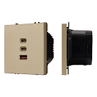Механизм розетки с быстрой USB зарядкой SCT-NOBE-MUACC-SFPL-FC-GD (65W, QC3) (Arlight, -) Lednikoff