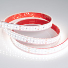 Светодиодная лента RTW 2-5000P 24V White6000 2x2 (3528, 1200 LED, LUX) (Arlight, 19.2 Вт/м, IP66) Lednikoff