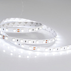 Светодиодная лента RTW 2-5000NC 24V White6000 2x (5060, 300 LED, LUX) (Arlight, 14.4 Вт/м, IP65) Lednikoff