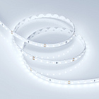 Светодиодная лента RT-A98-8mm 24V Cool 8K (10 W/m, IP20, 2835, 5m) (Arlight, 10 Вт/м, IP20) Lednikoff