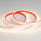 Светодиодная лента RTW 2-5000PS-50m 24V Warm3000 2x (3528, 120 LED/m, LUX) (Arlight, 9.6 Вт/м, IP67) Lednikoff