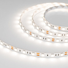 Светодиодная лента RT 2-5000 12V Day4000 2x (5060, 300 LED, LUX) (Arlight, 14.4 Вт/м, IP20) Lednikoff