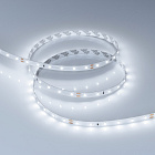 Светодиодная лента RT-A60-8mm 24V Cool 8K (4.8 W/m, IP20, 2835, 5m) (Arlight, Открытый) Lednikoff