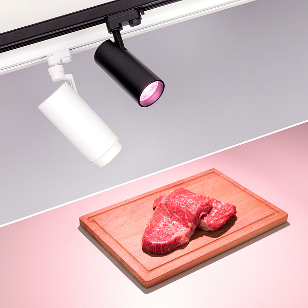 Светильник LGD-GERA-4TR-R74-20W Warm SP2900-Meat (WH, 24 deg, 230V) (Arlight, IP20 Металл, 3 года) Lednikoff