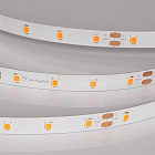 Светодиодная лента RT-A60-8mm 24V Carrot (4.8 W/m, IP20, 5m) (Arlight, -) Lednikoff