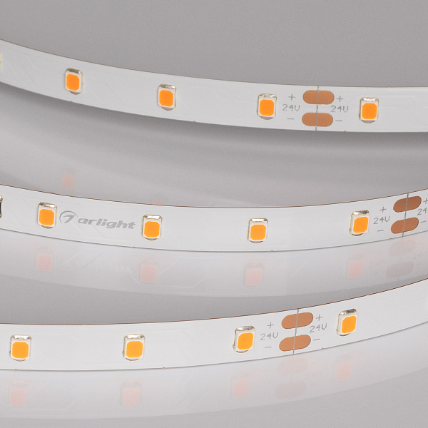 Светодиодная лента RT-A60-8mm 24V Carrot (4.8 W/m, IP20, 5m) (Arlight, -) Lednikoff