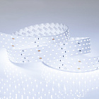 Светодиодная лента RT 2-2500 24V Cool 8K 4x2 (2835, 700 LED, LUX) (Arlight, 30 Вт/м, IP20) Lednikoff