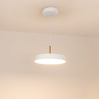 Светильник SP-ELEGANT-R300-17W Warm3000 (WH, 120 deg, 230V) (Arlight, IP20 Металл, 3 года) Lednikoff