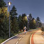 Светильник ALT-MASAR-50W Day4000 (BK, 150x30 deg, 230V) (Arlight, IP65 Металл, 5 лет) Lednikoff