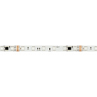 Светодиодная лента герметичная DMX-SE-B60-10mm 24V RGB-PX6 (14 W/m, IP65, 5m) (Arlight, -) Lednikoff