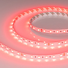 Светодиодная лента RT-B60-10mm 24V Red (14.4 W/m, IP20, 5060, 5m) (Arlight, Открытый) Lednikoff