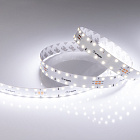 Светодиодная лента RT 2-4700 24V White6000 20mm (2835, 140 LED/m, LUX) (Arlight, 21.6 Вт/м, IP20) Lednikoff