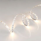 Светодиодная лента IC2-20000 24V Warm2700 2x 12mm (2835, 120 LED/m, Long) (Arlight, 9.6 Вт/м, IP20) Lednikoff