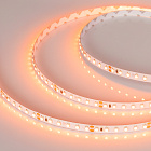 Светодиодная лента RT 2-5000 24V Orange 2x (3528, 600 LED, LUX) (Arlight, 9.6 Вт/м, IP20) Lednikoff