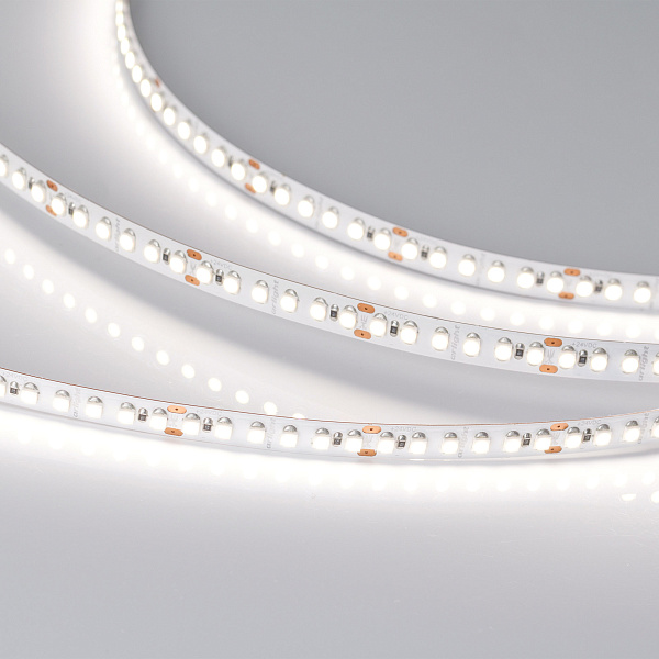 Светодиодная лента RT-A180-8mm 24V Day4000 (14.4 W/m, IP20, 3528, 5m) (Arlight, Открытый) Lednikoff