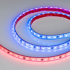 Светодиодная лента герметичная DMX-PS-B60-12mm 12V RGB-PX3 (14 W/m, IP67, 5060, 5m) (Arlight, -) Lednikoff