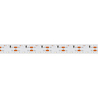 Светодиодная лента RS 2-5000 24V White6000 2x2 15mm (3014, 240 LED/m, LUX) (Arlight, 19.2 Вт/м, IP20) Lednikoff