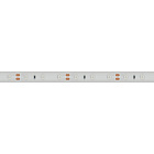 Светодиодная лента RTW 2-5000P 12V Blue (3528, 300 LED, LUX) (Arlight, 4.8 Вт/м, IP66) Lednikoff