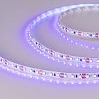 Светодиодная лента RT-A120-8mm 12V UV400 (9.6 W/m, IP20, 2835, 5m) (Arlight, Открытый) Lednikoff