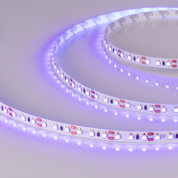 Светодиодная лента RT-A120-8mm 12V UV400 (9.6 W/m, IP20, 2835, 5m) (Arlight, Открытый) Lednikoff