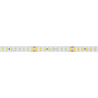 Светодиодная лента RT-A144-10mm 24V Warm3000 (7.7 W/m, IP20, 2835, 5m) (Arlight, высок.эфф.200 лм/Вт) Lednikoff