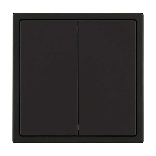 Механизм выключателя двухклавишный проходной SWT-NOBE-MKP2-SFPL-BK (230V, 10A) (Arlight, Черный оникс) Lednikoff
