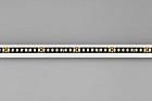 Светодиодная лента RT-A160-BLACK-8mm 24V Day4000 (12 W/m, IP20, 5m) (Arlight, -) Lednikoff