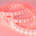 Светодиодная лента RT 2-5000 24V Red 2x2 (5060, 600 LED, LUX) (Arlight, 26 Вт/м, IP20) Lednikoff