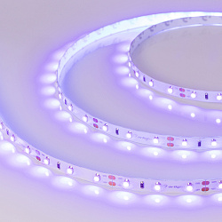 Светодиодная лента RT-A60-8mm 12V UV400 (4.8 W/m, IP20, 2835, 5m) (Arlight, Открытый)