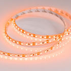 Светодиодная лента RT-A120-8mm 12V Orange (9.6 W/m, IP20, 2835, 5m) (Arlight, -) Lednikoff