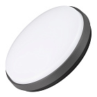 Светильник LGD-GIRO-R300-30W Day4000 (GR, 110 deg, 230V) (Arlight, IP54 Металл, 3 года) Lednikoff