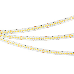 Светодиодная лента RT-A252-10mm 24V White6000 (11 W/m, IP20, 2835, 5m) (Arlight, 11 Вт/м, IP20)