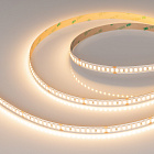 Светодиодная лента ULTRA-C180-10mm 24V Warm3000 (19.2 W/m, IP20, 5630, 5m) (Arlight, высок.эфф.200 лм/Вт) Lednikoff
