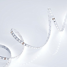 Светодиодная лента RT 2-5000 24V Cool 8K 2x (3528, 600 LED, LUX) (Arlight, 9.6 Вт/м, IP20) Lednikoff