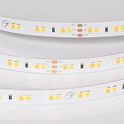 Светодиодная лента UL-A120-10mm 24V Day-MIX (10 W/m, IP20, 5m) (Arlight, Изменяемая ЦТ) Lednikoff