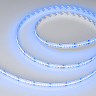 Светодиодная лента CSP-X840-12mm 24V RGBW-Warm (17.2 W/m, IP20, 5m) (Arlight, 5 лет) Lednikoff