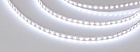 Светодиодная лента RZ-A120-6mm 12V Cool 8K (12 W/m, IP20, 2835, 5m) (Arlight, 12 Вт/м, IP20) Lednikoff