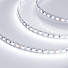 Светодиодная лента RT 6-5050-96 24V White6000 3x (480 LED) (Arlight, 23 Вт/м, IP20) Lednikoff